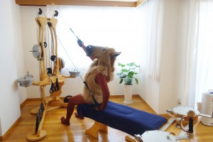 いつもより多く引いております。