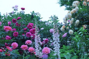 98b7b38b4e64d17fbe9f8b37b268296face2a48f